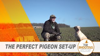 The Shooting Show - Decoying pigeon over rape AND stalking the first roebuck of the season