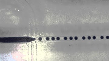 Droplet generation in a flow focusing microfluidic chip using OB1 Mk3 pressure controller