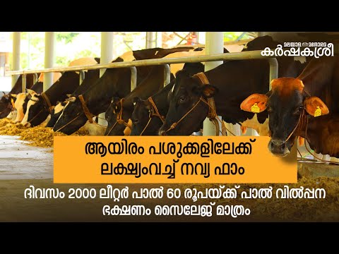 ആയിരം പശുക്കളിലേക്ക്  ലക്ഷ്യംവച്ച് നവ്യ ഫാം | Karshakasree | Navya Farms