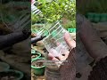 Aprende hidroponía en casa 🍅🥬 sin tierra y fácil. OBTÉN INGRESANDO AL LINK DEL PERFIL 🌱 #hidropon