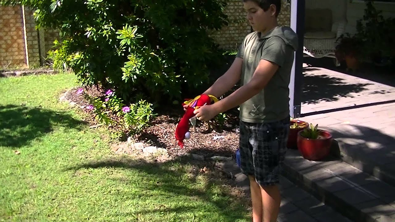 How To Kick A Chicken YouTube