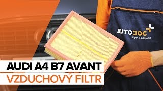 Jak vyměnit Vzduchovy filtr на AUDI A4 Avant (8ED, B7) - online zdarma video