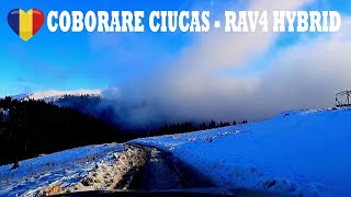 Coborare De La Cabana Vf Ciucas  Rav4 Hybrid