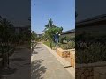 Meilleur HГґtel Oran Bay рџЊ рџЊ вќ пёЏ Meilleur HГґtel Oran Bay рџЊ рџЊ вќ пёЏ
