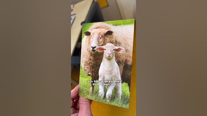 Ik vierde mijn verjaardag in de klas en er kwam een special guest langs!