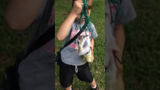 Young angler catches 6-pound bass with bream on a stringer