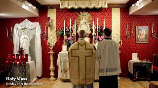 Sunday Sung Mass: 12:30 AM EASTERN TIME (ET)