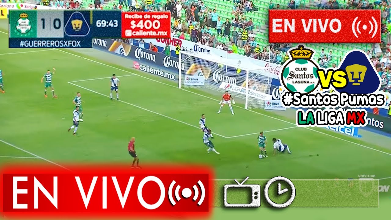 Fox Sport En Vivo Por Internet