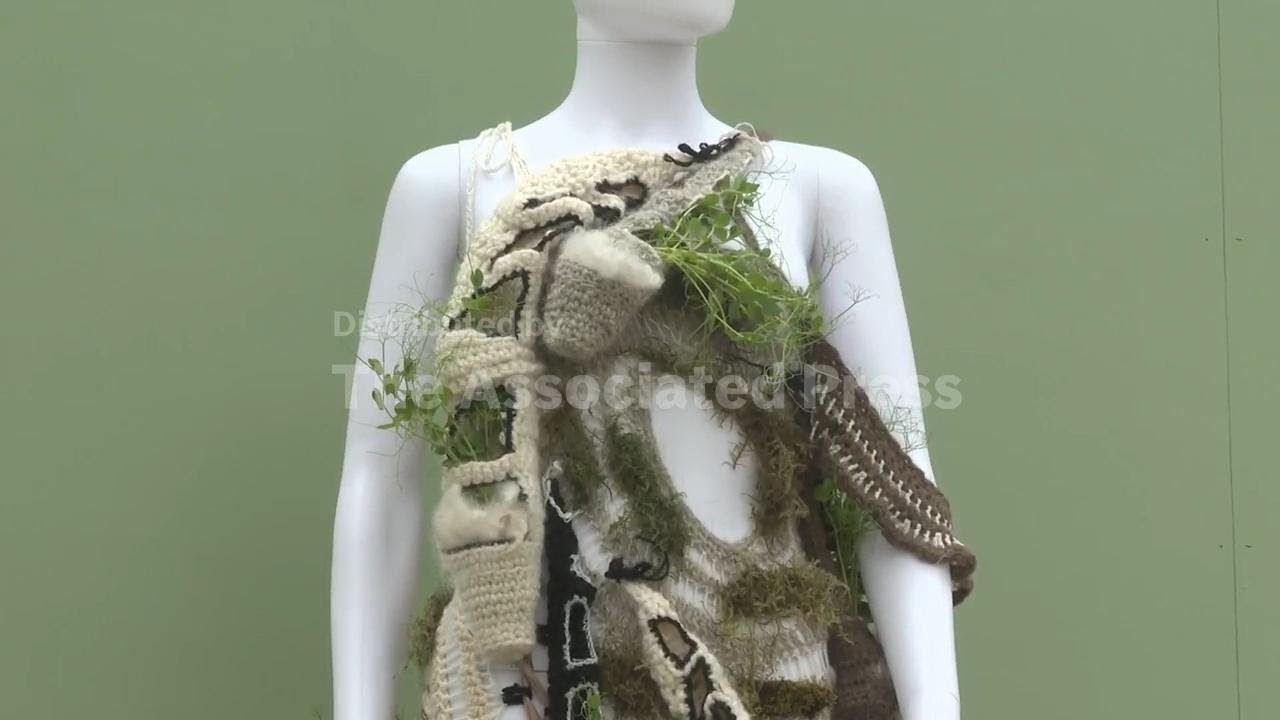 The art of sustainability: how plants can create fashion