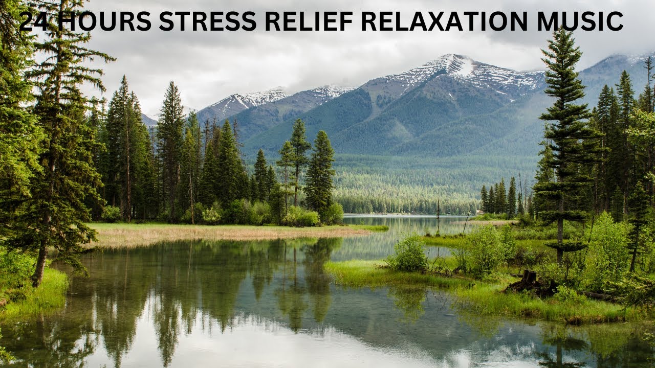 Meditation Music#relaxation music - YouTube