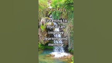 Brain Boost, How Music Enhances Your Mind! #shorts #facts #didyouknow #curiousfacts #curiosity