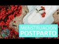 MENSTRUACIÓN después del PARTO – ¿Cuándo aparece?