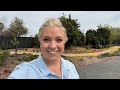 Planting Heliotrope, Cypress & Echium! Plus Garden Updates