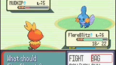 Pokemon Ruby part 2-Getting our starter