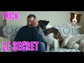 Le secret dog tricks demo bisoussecret