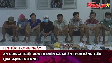 An Giang: Triệt xóa tụ điểm đá gà ăn thua bằng tiền qua mạng Internet