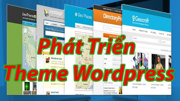 Giới thiệu khóa học phát triển theme wordpress
