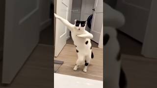 Gato Y Aguita Sabrosona