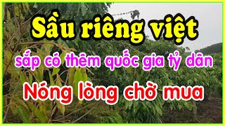 thêm quốc gia tỷ người muốn mua sầu riêng việt nam hy vọng sớm trở thành hiện thực