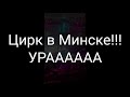 Цирк в Минске! Водная феерия! Шикарное шоу! Смотреть всем!