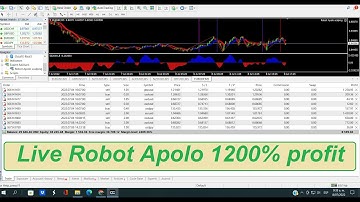 Live trade scalping robot Apolo 1200% profit on forex trading accounts (  minimum  to use 70 usd)