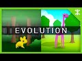 Evolution explained