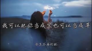 王一一 | 我可以把你當成寶也可以當成草 『我可以把你當成寶也可以當成草 你不要把我的愛當成是一個玩笑』 【高音質 動態歌詞/PinyinLyrics】
