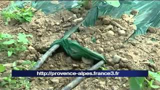 Le Vaucluse demande des aides pour l'irrigation