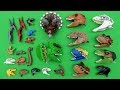 30 Lego Dinosaur Heads - Learn Dinosaur Names