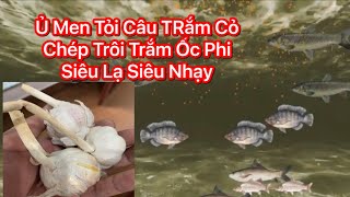 Top 9 cách làm tinh chất tỏi giảm hay nhất năm 2022