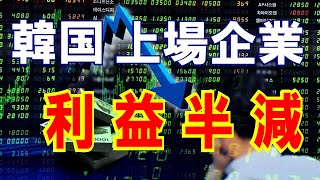 【韓国】上場会社、30大企業グループの利益半減