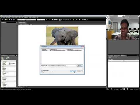 Image Swapping