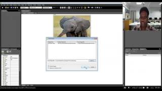 Image Swapping