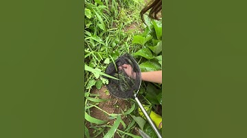 Dodamdam-♥️ Bắt chuồn chuồn nước-Jeogam Elementary School