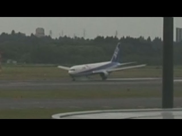 ANA Aviationtag B767 事故経験機 ANA Aviationtag B767 事故経験機 - メルカリ