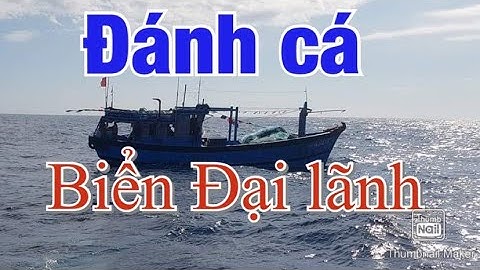 Đánh Cá Trên Biển Đại Lãnh | Biển Lặng Êm Những Ngày Sau Bão