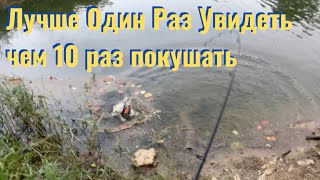 Рыбалка на Озере - мы его почти поймали.