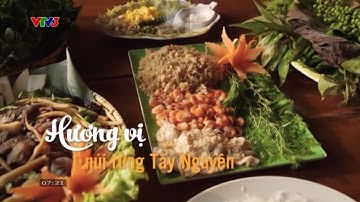 Vị Quê (Số 67): Hương Vị Núi Rừng Tây Nguyên (21/06/2025) [VTV3]