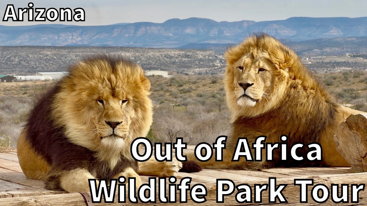 Tour of the Out of Africa Wildlife Park - Camp Verde, Arizona - USA