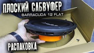 Плоский сабвуфер  в машину DL Audio Barracuda 12 Flat | Распаковка