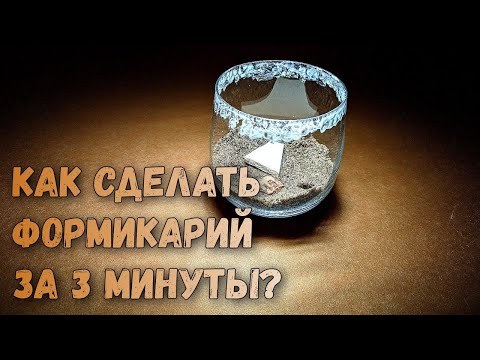 Как сделать Формикарий дома? Самый лёгкий способ!