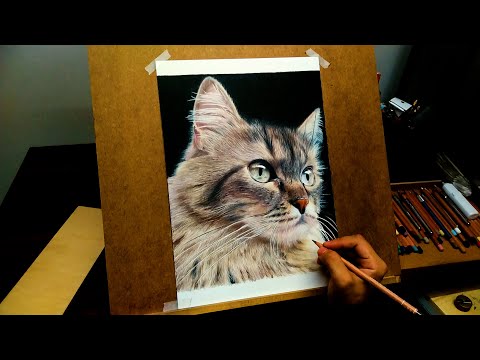 色鉛筆画 A4.猫 クリスマス5 色鉛筆画 A4.猫 クリスマス5