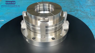 AS-AT151 dual agitator mechanical seal is to replace Johncrane T151 seal.
