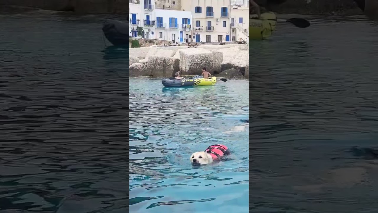 TOUR IN BARCA DA SOGNO IN SICILIA