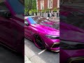 Car Meets Whale