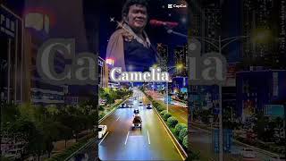 cameliarhoma Iramadangdut  capcutedit shorts