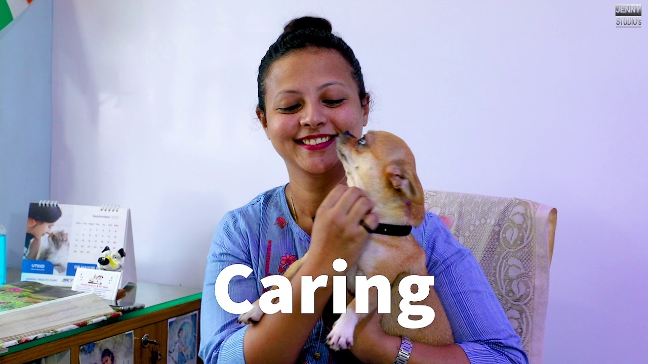 Arnold kennel's & Pet shop Daman YouTube