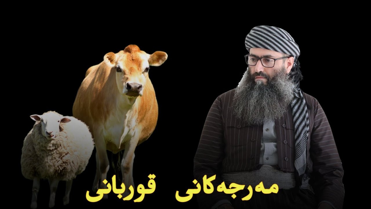 مەرجەکانی قوربانی