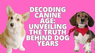 Understanding Canine Age: How Dogs' Age Relates to Human Years #dogs #petlover #pets by Dogs in Facts 74 views 9 months ago 4 minutes, 10 seconds