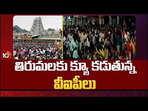 VIPs Visit Tirumala | Vaikunta Ekadasi | వసతి గదుల కోసం టీటీడీ అధికారులపై ఒత్తిడి | 10TV News